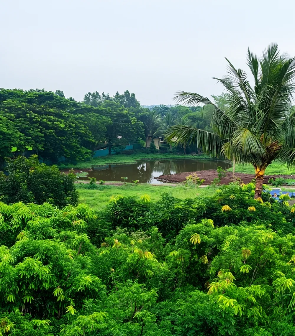 Sustainability Right