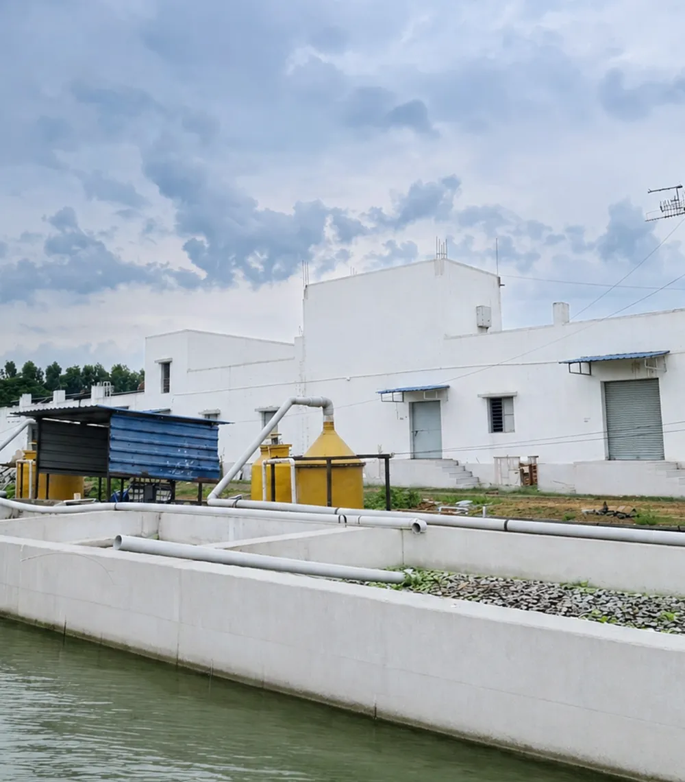 Rain Water Harvesting